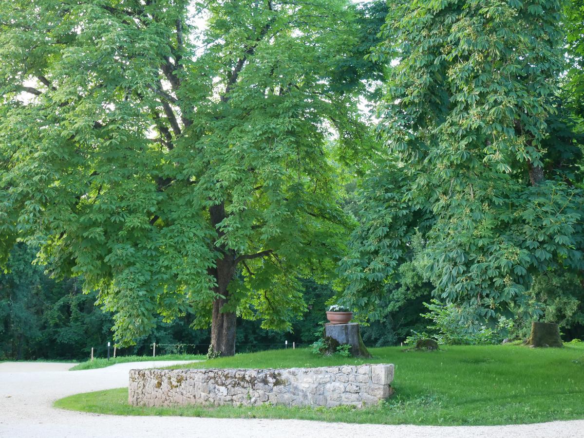 Les Maisons Du Cheylard-Lascaux Villa Les Farges  Exterior foto